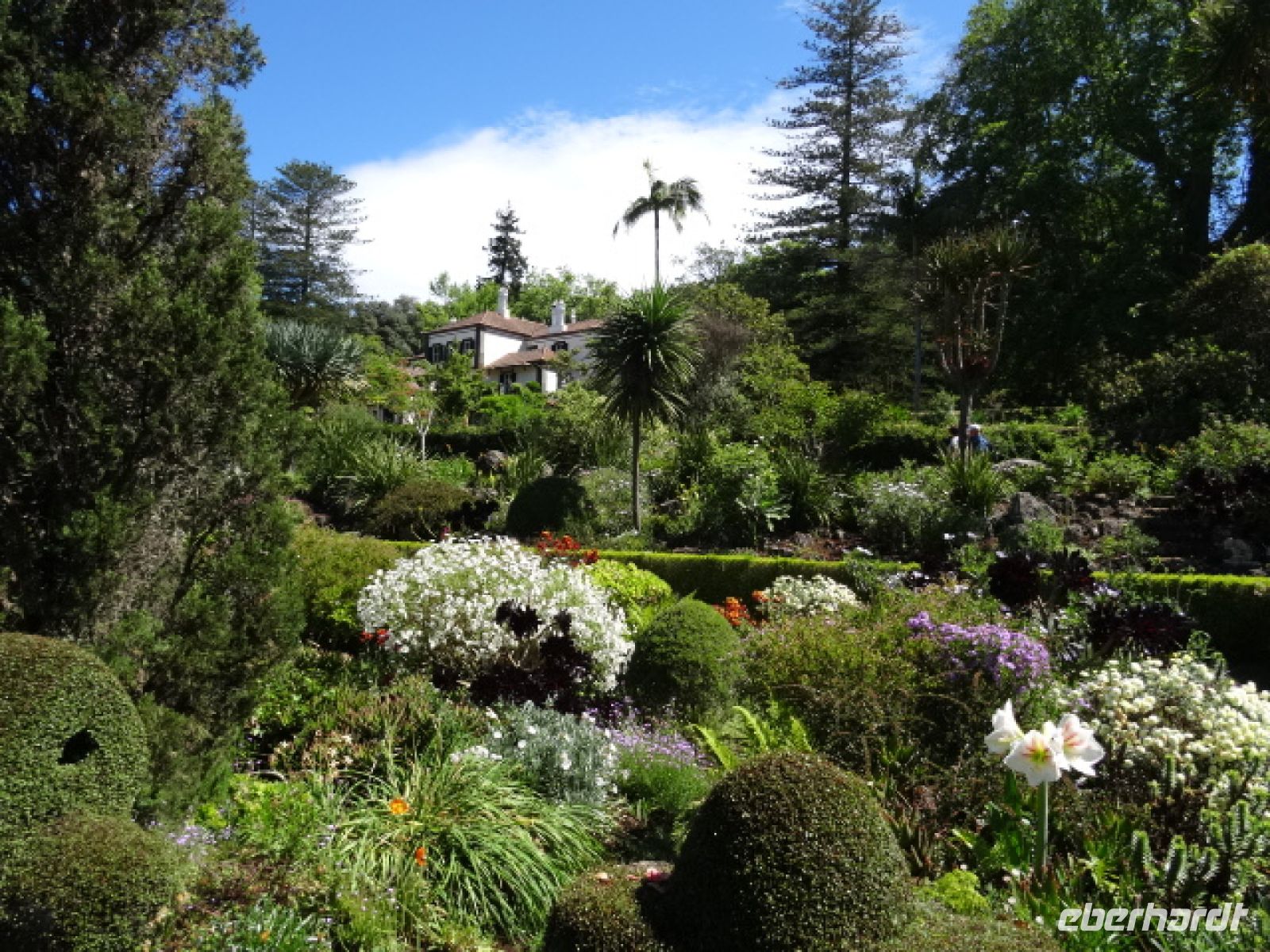 Quinta do Palheiro - Blick auf das Herrenhaus