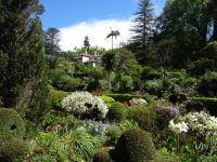 Quinta do Palheiro - Blick auf das Herrenhaus