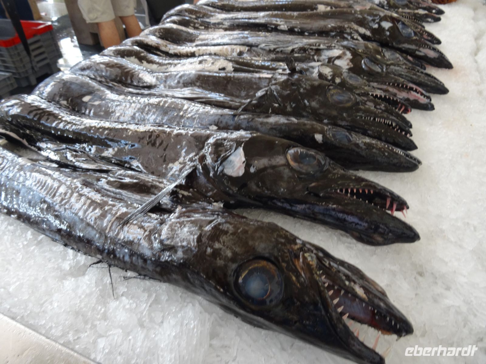 Schwarzer Degenfisch in der Markthalle