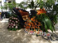 Funchal - Blumenfest