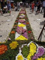 Funchal - Blumenfest