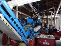 Puerto da Cruz - Zuckerrohrfabrik