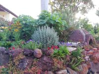 Pflanzenpracht in Quinta-Garten