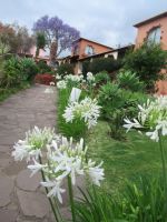 Weg vom Zimmer - einfach herrlich