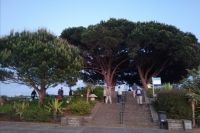 Aussichtspunkt Pico dos Barcelos