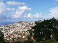 Blick auf Funchal vom Botanischen Garten