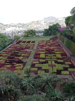 Botanische Garten Funchal - der Teppich aus bunten Blätterpflanzen