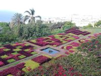 Botanischer Garten - Pfalzenteppich mit Sicht auf Funchal