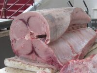 Da kann die ganze Familei satt werden