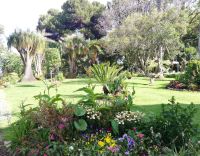 Der Garten auf der anderen Seite der Anlage