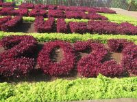 Jahr 2023 - Blumenteppich im Botanischen Garten von Funchal