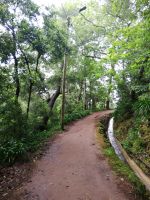 Wanderung - Levada dos Balcoes“