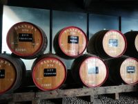 Madeira Wein - die Rebsorten