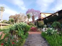 Quinta Garten mit Jacaranda Baum