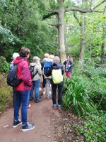 Teresa erklärt und die vielen Pflanzen