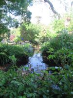 Das Bächlein  in Quita do Palheiro