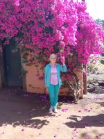 Die Bougainvillea und ich