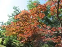 Die Farben der Natur