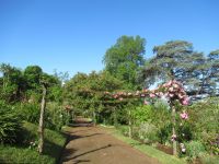 Die Wege mit Rosen Toren