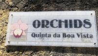 Orchids Quinta da Boa Vista