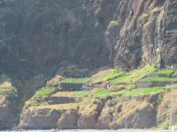 Auch die kleinen Terrassen werden bewirstschaftet