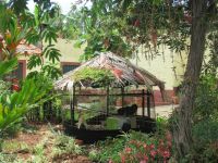 Auch Tiere haben ein schattiges Plätzchen