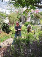 Esmeralda erklärt die Heilpflanzen