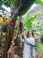 Teresa erklärt und de Anbau der Bananen