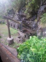 auf dem Weg zu den Lavada