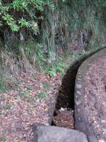 Levada bei Ribeiro Frio