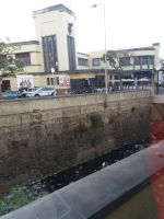 Blick auf die Markthalle in Funchal