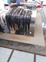 schwarzer Degenfisch