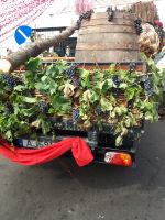Weinfest- Festwagen in Camara de Lobos
