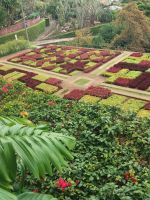 Blick in den Botanischen Garten