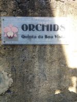 Orchideengarten von Patrick