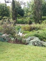 gepflegter Pflanzengarten