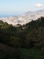 Bick auf Funchal vom Blumengarten