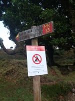 zur Hochebene Paul da Serra