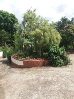 Esmeraldas Kräuterwelt