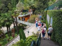 Funchal-Tropischer Garten (2).jpg