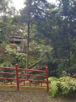 Funchal-Tropischer Garten (8).jpg