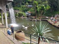 Funchal-Tropischer Garten (18).jpg