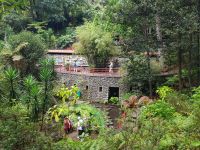 Funchal-Tropischer Garten (28).jpg