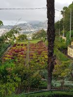 1.Botanischer Garten (5).jpg