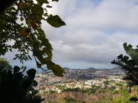 1.Botanischer Garten - Blick auf Funchal(8).jpg