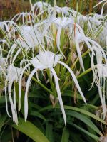 1.Botanischer Garten (9).jpg