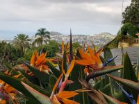 1.Botanischer Garten (19).jpg