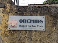 2.Quinta da Boa Vista-Orchideenzucht von Patrick(14).jpg