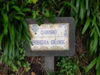 1. Levada-Wanderung im Paradiestal (6).jpg