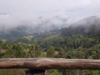 2.Am Aussichtspunkt des Parkes in Santo da Serra(27).jpg